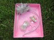 1x1Set Headband Hairclip for Kids Girls Headband Gift Set