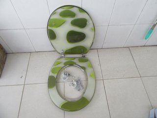 1X New Green Bubble Design Toilet Seat & Cover