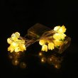 1Set Yellow Tulip Flower 20-LED Light Lighting String Battery Powered (image for) 1Set Yellow Tulip Flower 20-LED Light Lighting String Battery Powered
