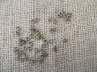100Pkts X 60Pcs Antique Bronze Jump Ring Jumprings Jewellery