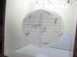 5 Dragonfly Printing Paper Lantern for Decoration co-ot176 (image for) 5 Dragonfly Printing Paper Lantern for Decoration co-ot176