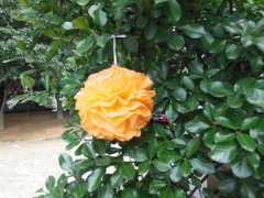 (image for) 10 Orange Tissue Paper Pom Pom Wedding Party Decoration 20cm Dia
