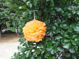 10 Orange Tissue Paper Pom Pom Wedding Party Decoration 20cm Dia (image for) 10 Orange Tissue Paper Pom Pom Wedding Party Decoration 20cm Dia