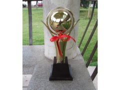 (image for) 1Pc Golden Plated Trophy Cup Novelty Achievement Award 34cm High
