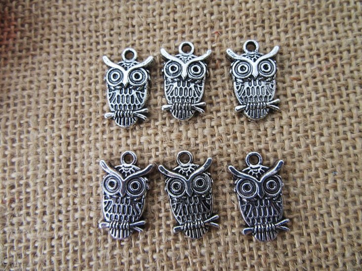 100Pcs New Owl Beads Charms Pendants Jewellery Findings - Click Image to Close