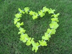 (image for) 48 Pieces Yellow Hawaiian Dress Party Flower Leis/Lei 100cm
