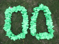 12Pcs Light Green Hawaiian Dress Party Flower Leis/Lei Petals