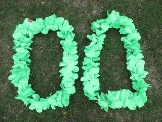 (image for) 2 x 12 Pieces Light Green Hawaiian Dress Party Flower Leis/Lei Petals