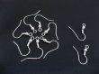 (image for) 1000Pcs Silver Plated Ear Wire Hooks W/Bead Coil