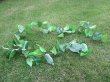 5Pcs Tropical Leaf Garland Wedding Flower Arch Decoration 2M (image for) 5Pcs Tropical Leaf Garland Wedding Flower Arch Decoration 2M
