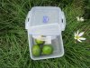 5X Portable Collection Camping Food Box Storage Container 1600ML