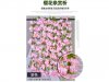 6Pcs 18 Head Pink Cherry Blossom Sakura Leaf Garland Vine String