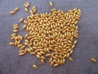 250g (1180Pcs) Golden Faux Rice Simulate Pearl Beads Loose Beads