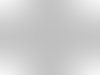 80Pcs White Covered Florist Wire for Floristry/Crafts 18#