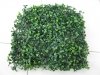 10X Green Artificial Boxwood Grass Lawn Home/Garden 25x25cm 10X Green Artificial Boxwood Grass Lawn Home/Garden 25x25cm