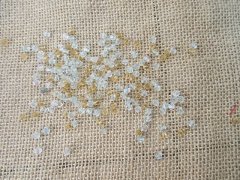 450g (6000Pcs) Bicone Faceted Crystal Glass Beads 4mm Mixed