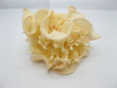 1New Ivory Elastic Hair Tie Scrunchies Hair Elastic 1New Ivory Elastic Hair Tie Scrunchies Hair Elastic