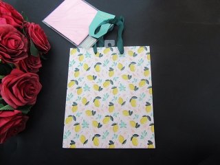 12X Paper Shopping Bag Gift Bag Assorted 24x20x10cm (image for) 12X Paper Shopping Bag Gift Bag Assorted 24x20x10cm