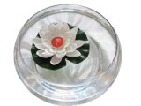 Floating Flower