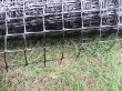 (image for) 1Pc Multi Purpose Anti Bird Netting Protect Net Plant Protect
