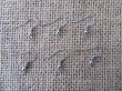 24Sheets X 42Pcs Ear Wire Hooks W/Bead Coil 18x21mm Mixed Color (image for) 24Sheets X 42Pcs Ear Wire Hooks W/Bead Coil 18x21mm Mixed Color