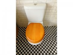1X New Toilet Seat & Cover furn469