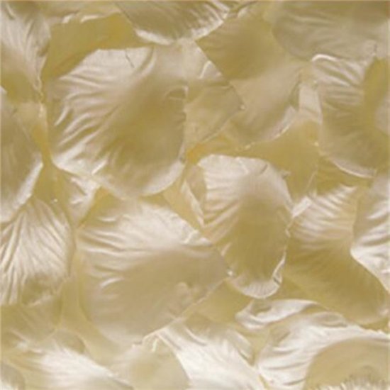1000X Rose Petals Wedding Party Decoration - Ivory - Click Image to Close
