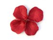 1000X Rose Petals Wedding Party Decoration - Wine Red (image for) 1000X Rose Petals Wedding Party Decoration - Wine Red