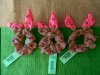 12Pcs Elastic Hair Bands Scrunchies Hair Ties Mixed Color 12Pcs Elastic Hair Bands Scrunchies Hair Ties Mixed Color