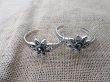 (image for) 12Pcs Bracelets 8 Point Star Paua Shells Inside Bangles Jeweller