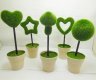 10 Artificial Foam Moss Plant with Pot Decoration Mixed 10 Artificial Foam Moss Plant with Pot Decoration Mixed