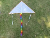 4X Blank Plain DIY Triangle Kids Painting Kite Outdoor 100cm
