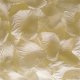 1000X Rose Petals Wedding Party Decoration - Ivory 1000X Rose Petals Wedding Party Decoration - Ivory