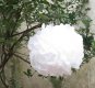 10 White Tissue Paper Pom Poms Wedding Party Decoration 30cm Dia 10 White Tissue Paper Pom Poms Wedding Party Decoration 30cm Dia