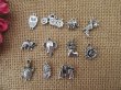 200Pcs Various Animal Etc Design Beads Charms Pendants Jewellery
