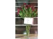 (image for) 5Pcs Red Flower 60cm Long we-flo172
