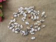 (image for) 100g Natural Shell Bead Charm Jewelry Craft Assorted Design