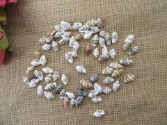 100g Natural Shell Bead Charm Jewelry Craft Assorted Design