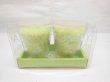(image for) 4Sets X 2 Green Candle With Glass Holder Wedding Party Favor