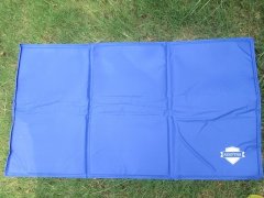 1Pc Dog Sleeping Mat Comfortable Sleeping Mat for Summer 1Pc Dog Sleeping Mat Comfortable Sleeping Mat for Summer