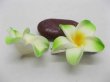 50 New Green Fabulous Foam Frangipani Flower 4.2x2cm (image for) 50 New Green Fabulous Foam Frangipani Flower 4.2x2cm