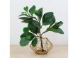 2Pcs Artificial Baby Watercress Leaf Flower Home Decor (image for) 2Pcs Artificial Baby Watercress Leaf Flower Home Decor