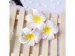(image for) 50 New Fabulous Foam Frangipani Flower 4.5x3cm