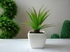 12Pcs Modern Artificial Plant Flower Potted Plants Centerpieces