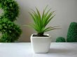 (image for) 12Pcs Modern Artificial Plant Flower Potted Plants Centerpieces