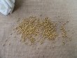 150g (10000pcs) Golden Round Spacer Beads 3mm for DIY Jewellery (image for) 150g (10000pcs) Golden Round Spacer Beads 3mm for DIY Jewellery