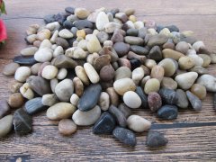 16Packets Polished River Stones Miniature Dollhouse Ornament 16Packets Polished River Stones Miniature Dollhouse Ornament