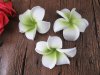 12Pcs New White & Green Fabulous Foam Frangipani Flower 8.5x4cm