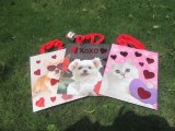 Gift Paper Bag