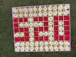 1X Boxed 99 Rose Buds Lover Mother Teacher Gift W/Case 520